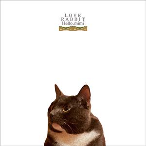 亚洲尿pisssex撒尿
